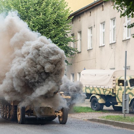 Wyświetl org. rozmiar