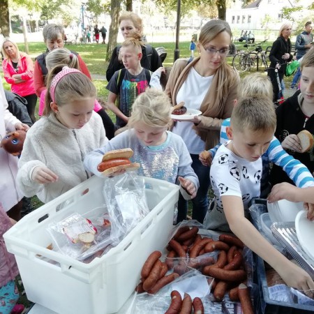 Wyświetl org. rozmiar