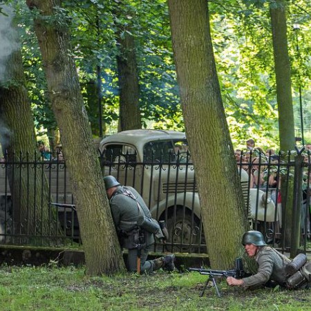 Wyświetl org. rozmiar