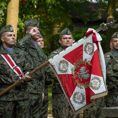 Wyświetl org. rozmiar