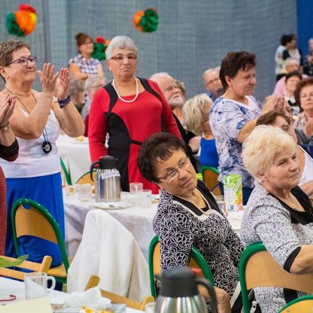 Wyświetl org. rozmiar