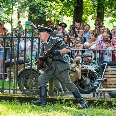 Wyświetl org. rozmiar