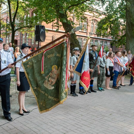 Wyświetl org. rozmiar