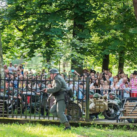 Wyświetl org. rozmiar