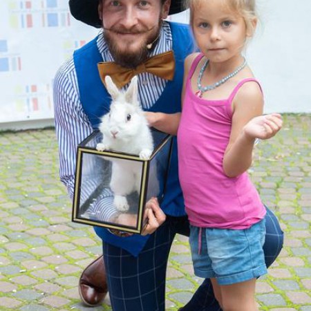 Wyświetl org. rozmiar