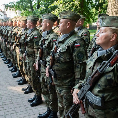 Wyświetl org. rozmiar