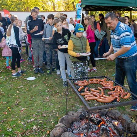 Wyświetl org. rozmiar