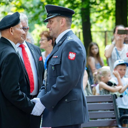 Wyświetl org. rozmiar