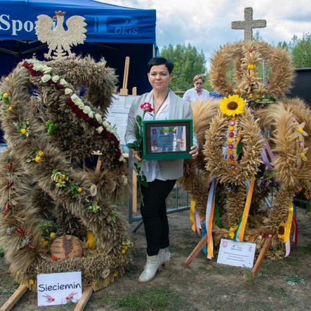 Wyświetl org. rozmiar
