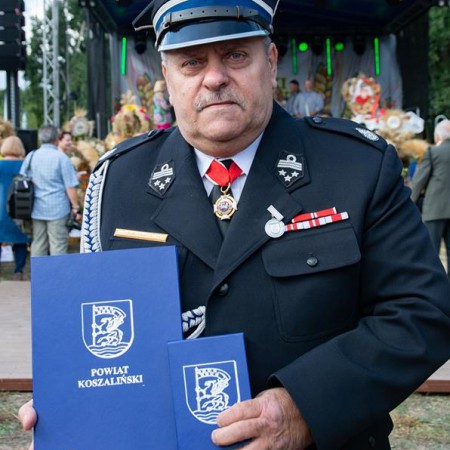 Wyświetl org. rozmiar