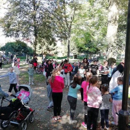 Wyświetl org. rozmiar