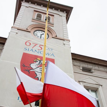 Wyświetl org. rozmiar