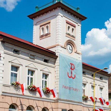 Wyświetl org. rozmiar