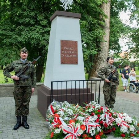 Wyświetl org. rozmiar