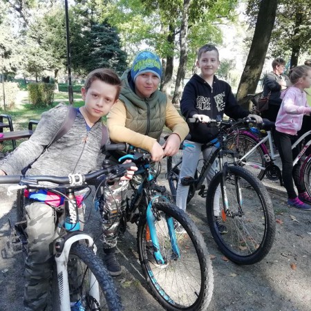 Wyświetl org. rozmiar