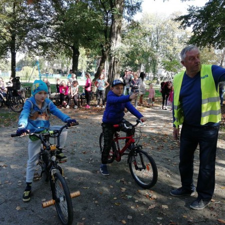 Wyświetl org. rozmiar
