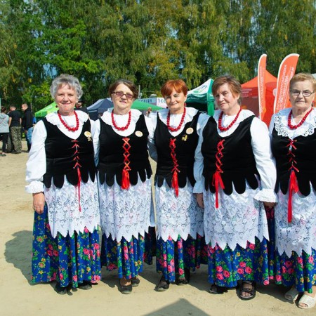 Wyświetl org. rozmiar