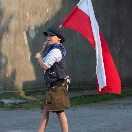 Wyświetl org. rozmiar