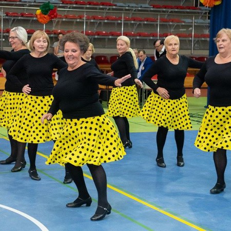 Wyświetl org. rozmiar