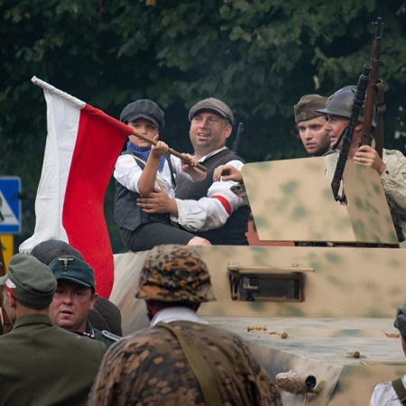 Wyświetl org. rozmiar