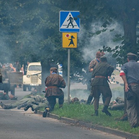 Wyświetl org. rozmiar