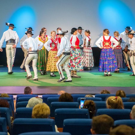 Wyświetl org. rozmiar