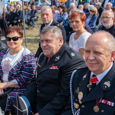 Wyświetl org. rozmiar
