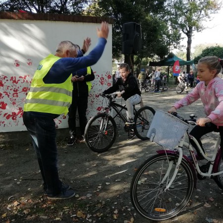 Wyświetl org. rozmiar