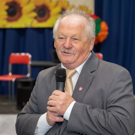 Wyświetl org. rozmiar