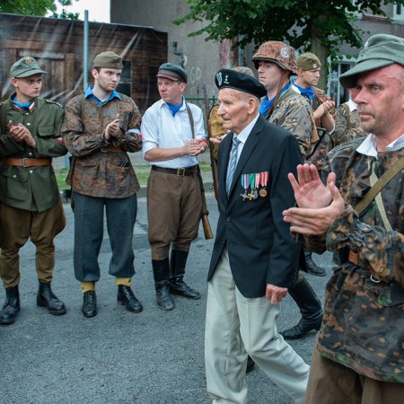 Wyświetl org. rozmiar