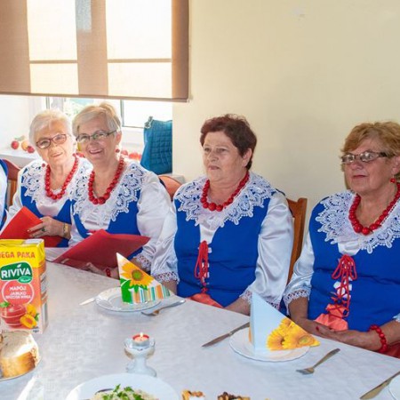 Wyświetl org. rozmiar