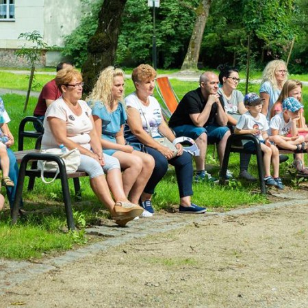 Wyświetl org. rozmiar