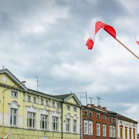 Wyświetl org. rozmiar