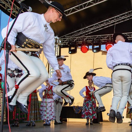 Wyświetl org. rozmiar