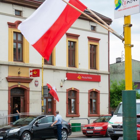Wyświetl org. rozmiar