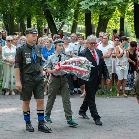Wyświetl org. rozmiar