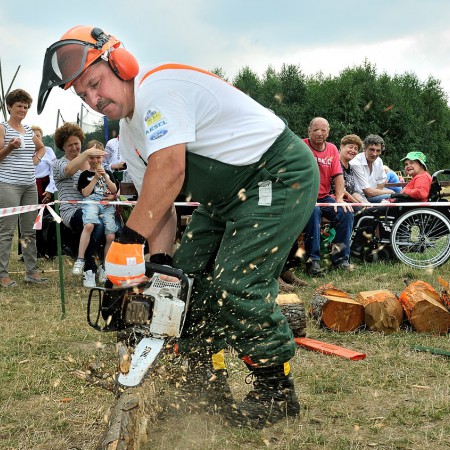 Wyświetl org. rozmiar