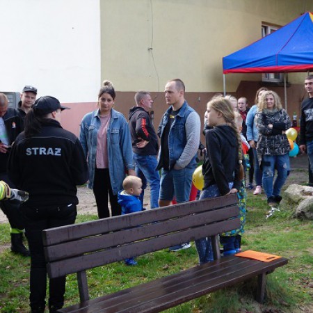 Wyświetl org. rozmiar