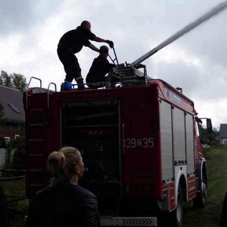 Wyświetl org. rozmiar