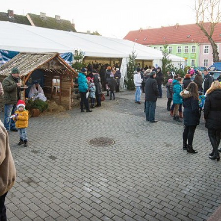 Wyświetl org. rozmiar
