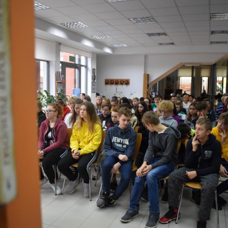 Wyświetl org. rozmiar