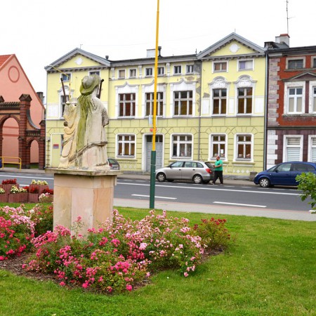 Wyświetl org. rozmiar