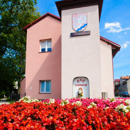Wyświetl org. rozmiar