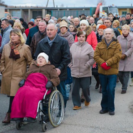 Wyświetl org. rozmiar