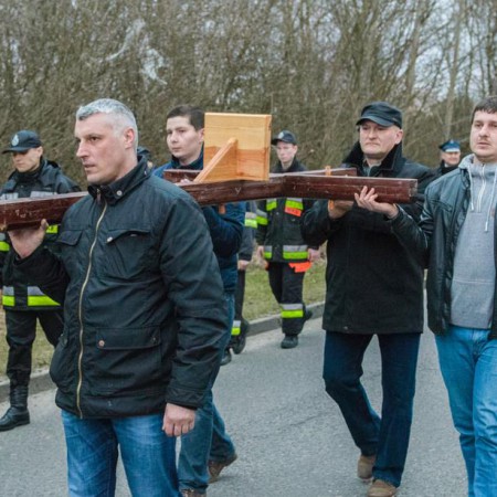 Wyświetl org. rozmiar