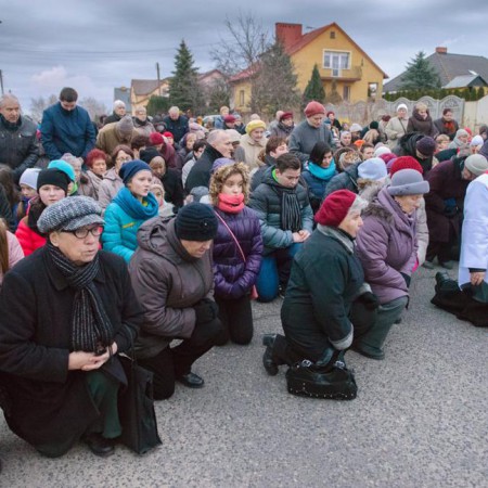 Wyświetl org. rozmiar