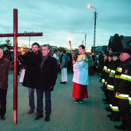 Wyświetl org. rozmiar
