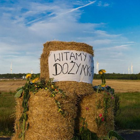 Wyświetl org. rozmiar