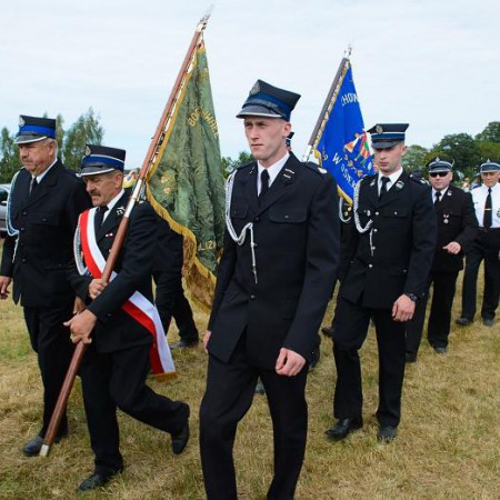 Wyświetl org. rozmiar
