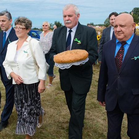 Wyświetl org. rozmiar